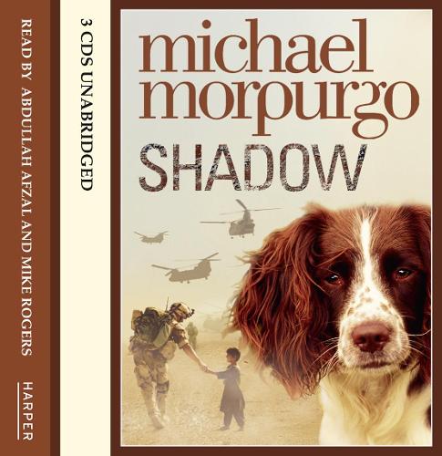 Shadow