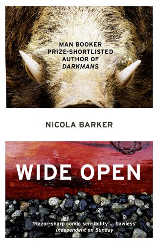 Wide Open by Nicola Barker