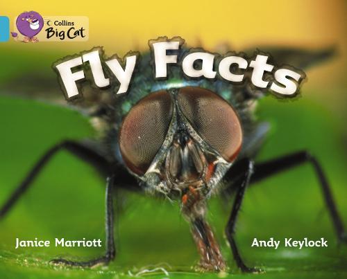 Fly Facts Workbook