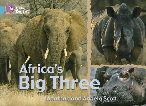 Africa's Big Three Workbook