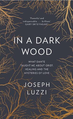 In a Dark Wood