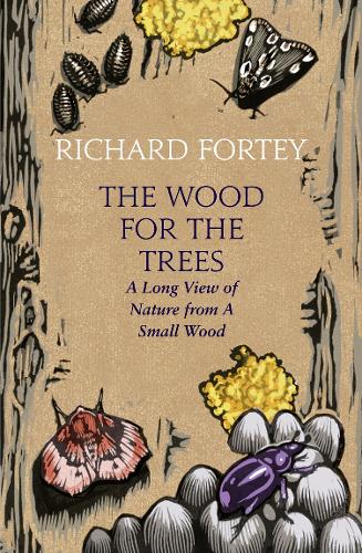 The Wood for the Trees