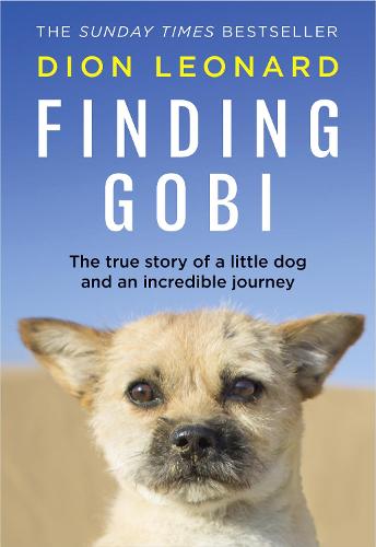 Finding Gobi (Main edition)