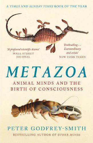 Metazoa by Peter Godfrey-Smith