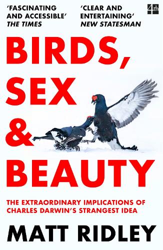 Birds, Sex and Beauty