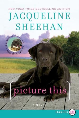 Picture This: A Novel LP