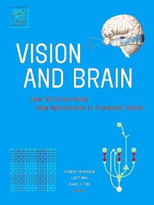 Vision and Brain