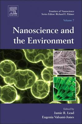 Nanoscience and the Environment Volume 7