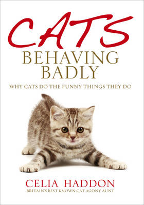 Cats Behaving Badly