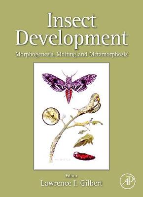 Insect Development