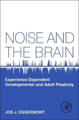 Noise and the Brain