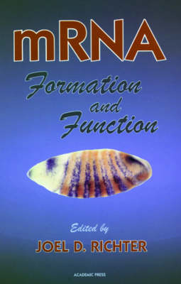 mRNA Formation and Function