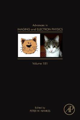 Advances in Imaging and Electron Physics Volume 181