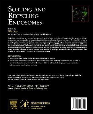 Sorting and Recycling Endosomes Volume 130