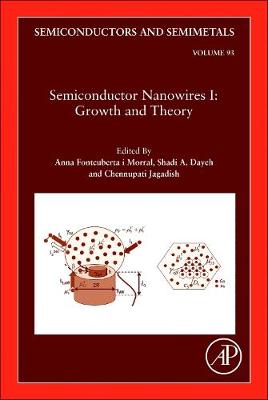 Semiconductor Nanowires I: Growth and Theory Volume 93