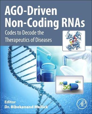AGO-Driven Non-Coding RNAs