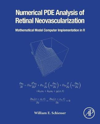 Numerical PDE Analysis of Retinal Neovascularization