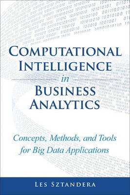 Computational Intelligence in Business Analytics