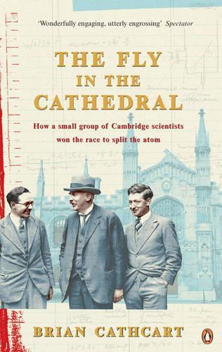 Fly in the Cathedral