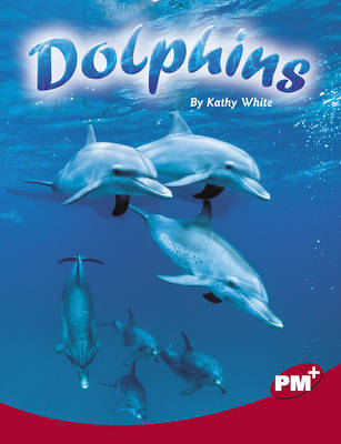 Dolphins