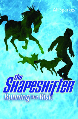Running the Risk: the Shapeshifter 2
