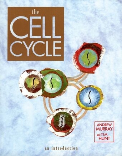 The Cell Cycle