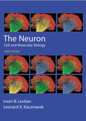 The Neuron