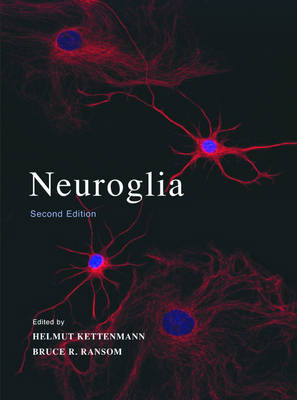Neuroglia