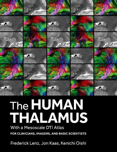 The Human Thalamus with a Mesoscale DTI Atlas