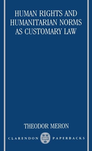 Human Rights and Humanitarian Norms as Customary Law