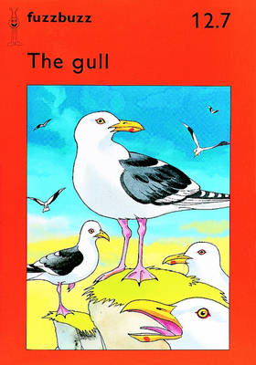 Fuzzbuzz: Storybooks Level 2B