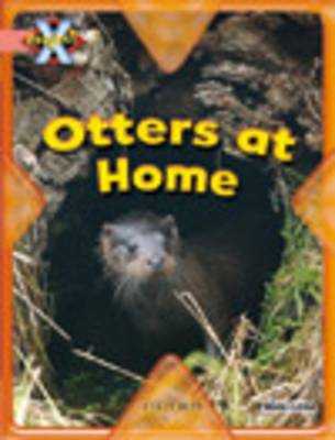 Project X: My Home: Otters at Home