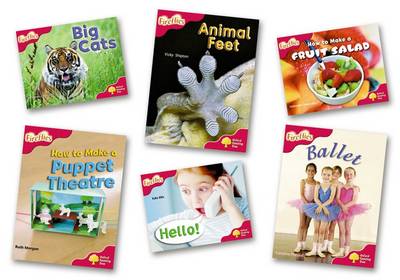 Oxford Reading Tree: Level 4: More Fireflies A: Pack (6 books, 1 of each title)