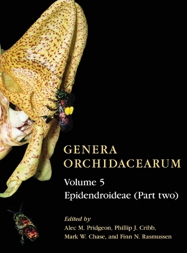 Genera Orchidacearum Volume 5