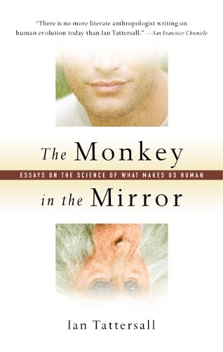 The Monkey in the Mirror