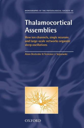 Thalamocortical Assemblies