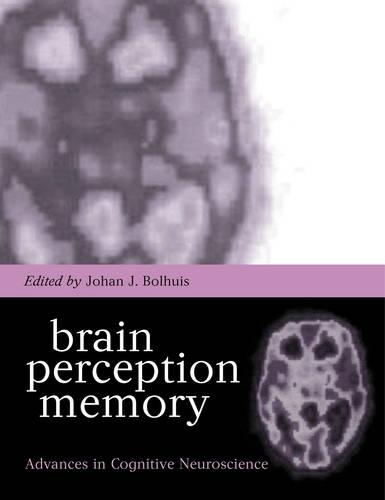 Brain, Perception, Memory