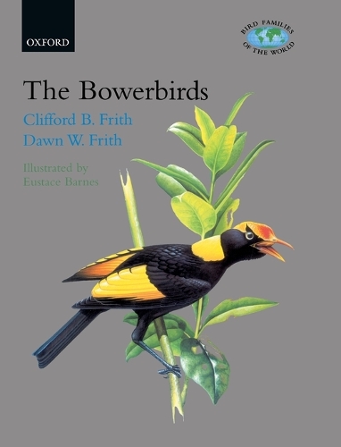 The Bowerbirds