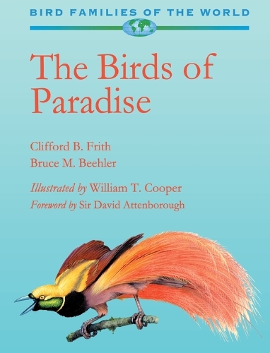 Birds of Paradise