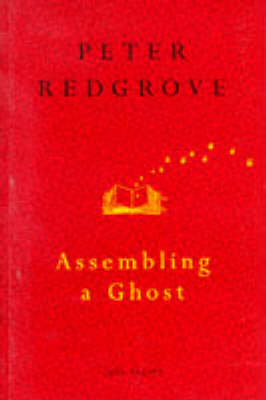 Assembling A Ghost