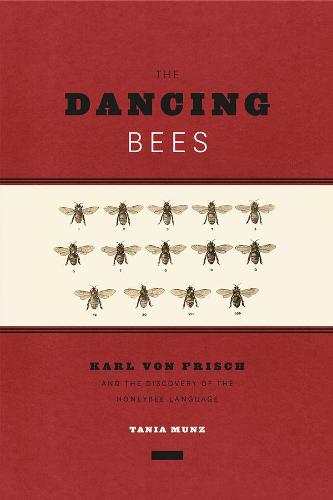 The Dancing Bees