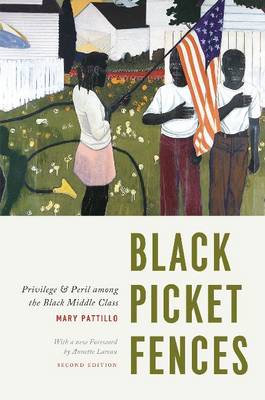 Black Picket Fences