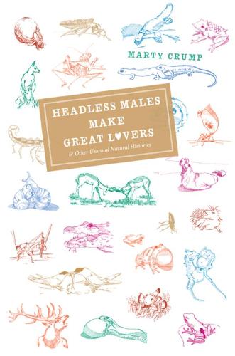 Headless Males Make Great Lovers