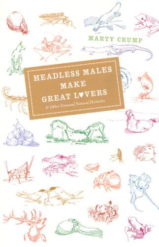 Headless Males Make Great Lovers