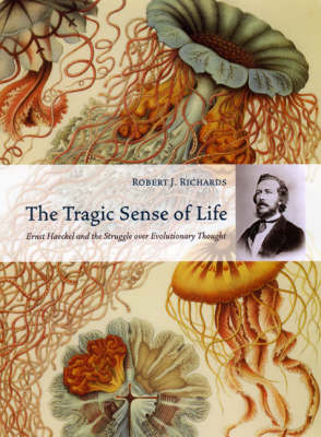 The Tragic Sense of Life