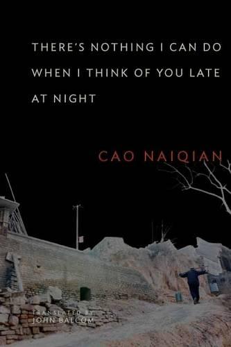 There’s Nothing I Can Do When I Think of You Late at Night
