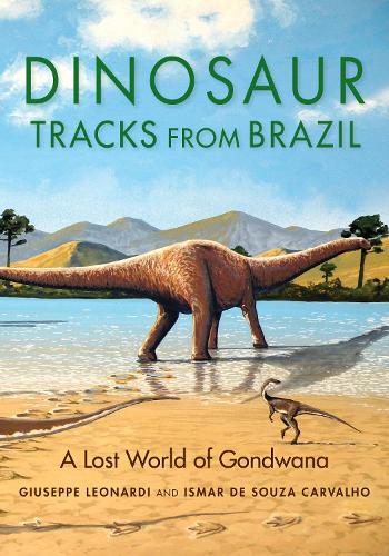 Dinosaur Tracks from Brazil