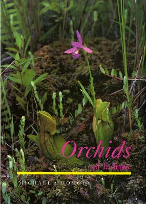 Orchids of Indiana
