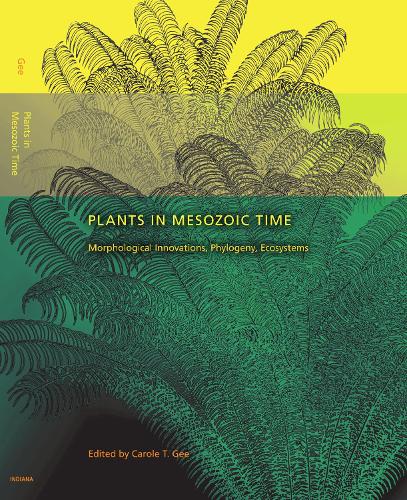 Plants in Mesozoic Time