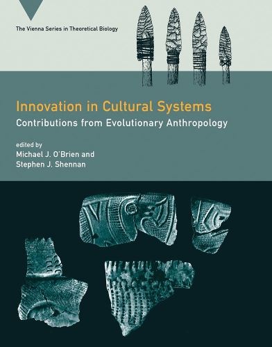 Innovation in Cultural Systems